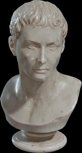 Marble Bust 01